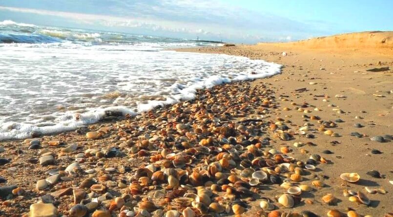 Отдых на Каспийском море в Астрахани
